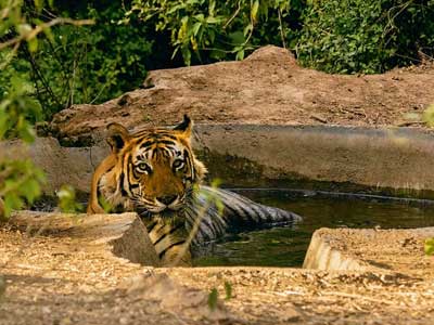 North India with Goa Vacations 