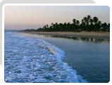Majorda Beach in Goa